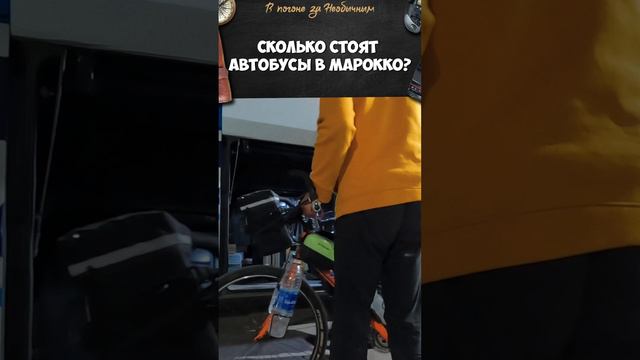 Сколько стоят Автобусы в Марокко