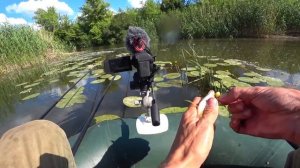Крупняк в кувшинках выкладывает поплавок... Рыбалка на карася летом