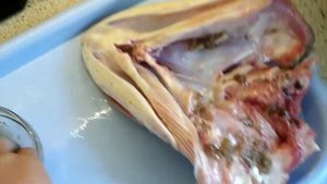 Щучья голова с чесноком из кинофильма "Иван Васильевич меняет профессию"