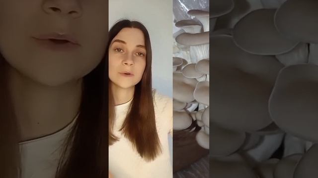 Выращивание грибов дома #вешенки #огород #сад #выращиваниегрибов #выращиваниерастений #грибывешенки