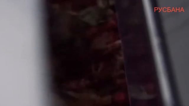 Очистка замороженной ягоды от лесного мусора на воздушном сепараторе и вибрационном калибровщике смотреть онлайн