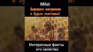 Интересные факты про мед