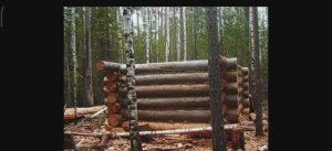 Строим избушку на месте дедовой. Как построить избушку. Наглядное пособие