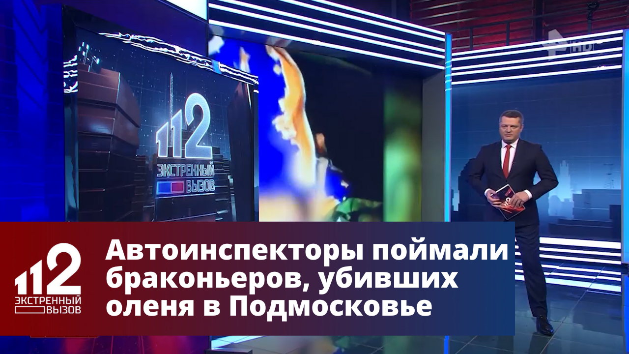 Автоинспекторы поймали браконьеров, убивших оленя в Подмосковье