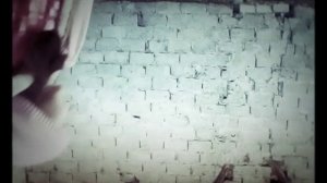 Мы вызвали баку пожиратель снов