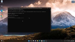 Fix .NET Framework 3.5 Installation Error  Code 0x800F0922 | Windows 11