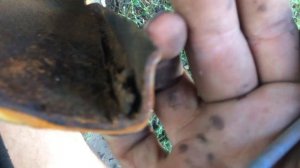 Ошибки сварки деталей машины. В стык или в нахлест?