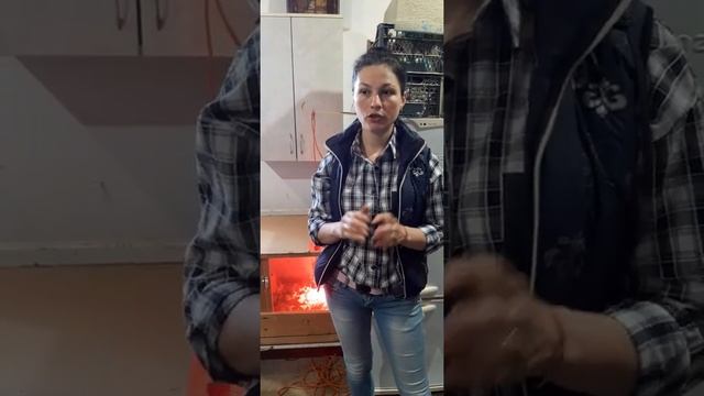 Можно ли оставлять яйца вертикально когда вылупляются птенцы/на какой день начинают вылупляться