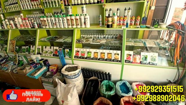 Ветаптека ва Агромагазиндаги нарх -наволар.