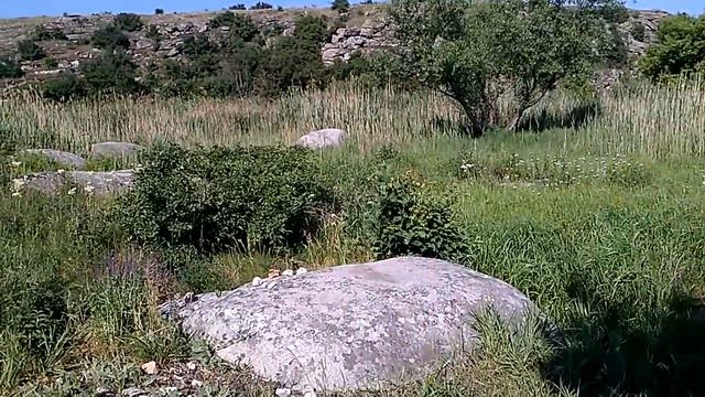 Урочище Монастырище смотреть онлайн