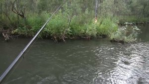 Рыбалка с ночевкой в тайге