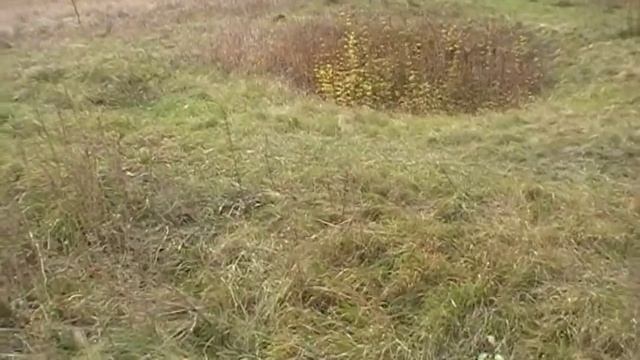 В поисках клада . Серебро и медь на распаханном урочище . смотреть онлайн