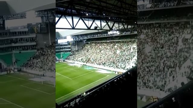 Ambiance stade Geoffroy Guichard