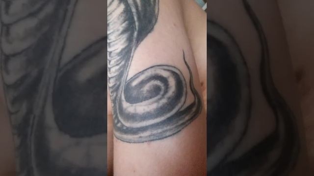 Tattoo cobra