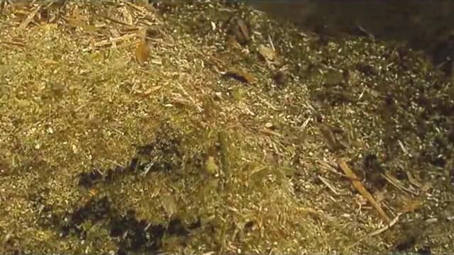 Самодельный измельчитель садовых отходов