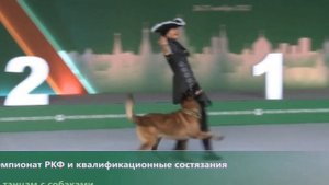 Танцы с собаками. Движение рядом под музыку. Ильина Полина и Малинуа Сабур. 27.11.2022