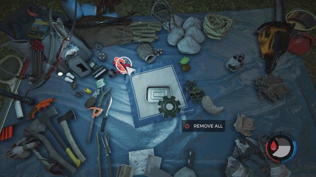 how to duplicate ANY ITEM in the forest SOLO (the forest tips tricks and glitches) смотреть онлайн