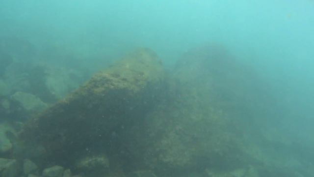 СНОРКЕЛИНГ С МОРСКИМИ ЧЕРЕПАХАМИ В ИНДИЙСКОМ ОКЕАНЕ