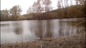 Ловля окуня на отводной с использованием тирольской палочки