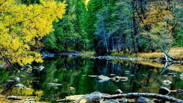 Музыка? Релакс. Вдохновение? смотреть онлайн