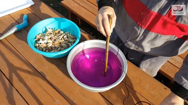 #308 Посадка чеснока в декабре/Краснодарский край/переезд на Кубань/жизнь в деревне.