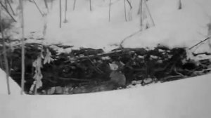 МАРТ, ВЕСНА   Кинозарисовка