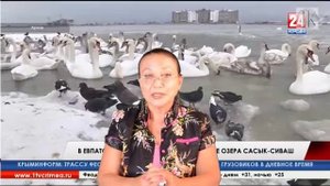 Крым. Озеро Сасык-Сиваш идет под приватизацию №688