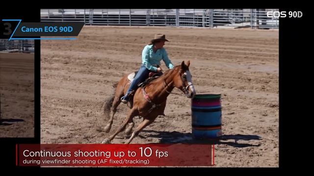 Top 5 Best DSLR Camera of [2020] смотреть онлайн