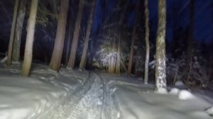 Покатушки на квадроцикле