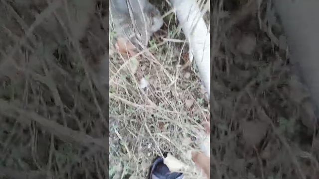 как просто сделать канализацию в частном доме смотреть онлайн