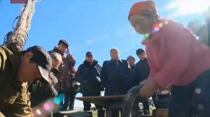 Новгородские хроники.Русское устье