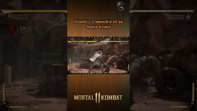 Mortal Kombat 11 - мощное комбо с отменой за Эрана Блэка