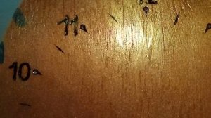 Краска-порошок хамелеон