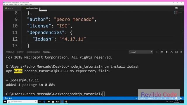 Installing packages using npm | #revildo_code