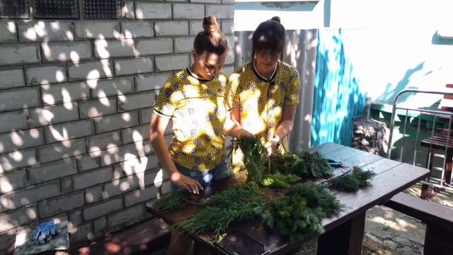 Можжевельники в моём саду. Черенкование хвойных. Размножение можжевельника, туи.