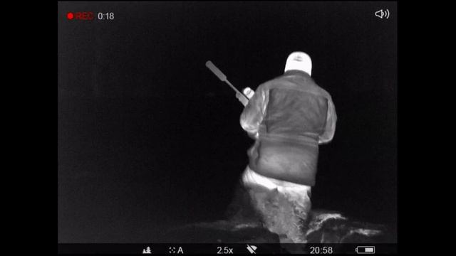 Охота на кабана с подхода Pulsar Digex C50 и Helion XP50 смотреть онлайн