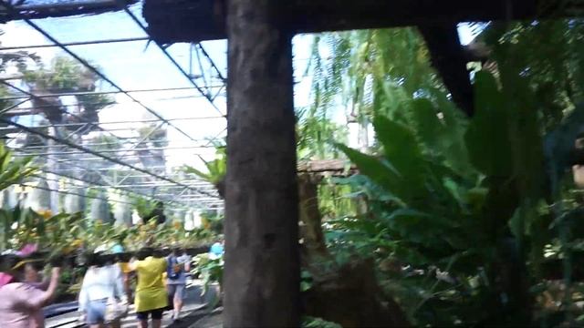 Тайланд Паттайя Сад Нонг Нуч.Ноябрь 2022г смотреть онлайн