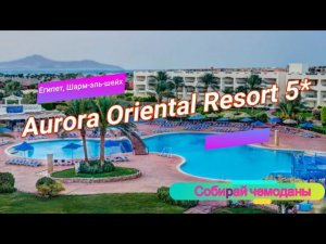 Отзыв об отеле Aurora Oriental Resort 5* (Египет, Шарм-эль-шейх)