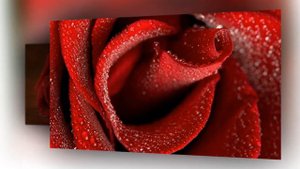 Эрнесто КОРТАЗАР ТОЛЬКО для ВАС ЛУЧШЕЕ