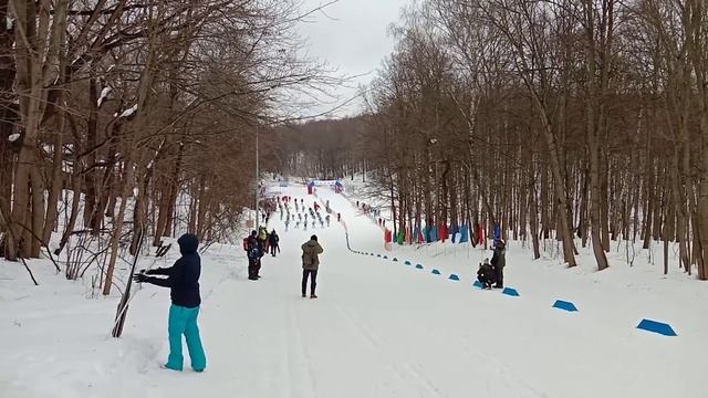 Лыжная гонка 7.5 км и 15 км. Нижний Новгород, Щелковский хутор 20.02.2022. Старт. смотреть онлайн