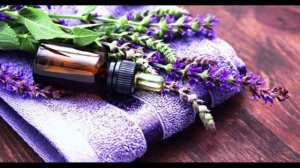 Масло шалфея. Чудесные свойства.
