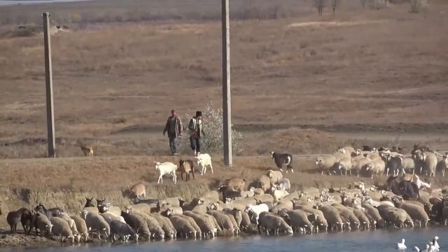 Касым - это осенний антипод гагаузского праздника Хедерлез