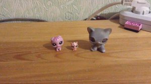 Песня АМАНДА ЛИНДА и РОУЗ