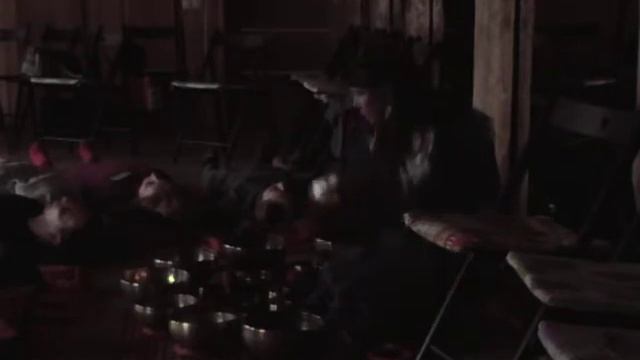 Светлана Костюк Практика с поющими тибетскими чашами Единение в Рэйки смотреть онлайн