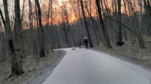 Велопрогулка через Битцевский лес из Чертаново в Ясенево