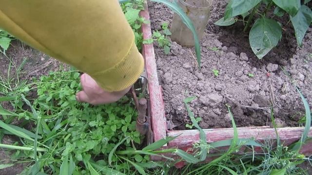 Парники Переносные для Дачи смотреть онлайн