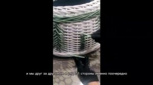 Ёлочка из ротанга! остатки ротанга в декоративных элементах!