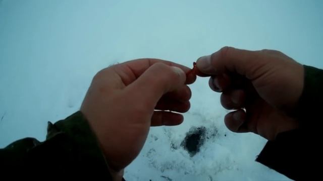 Поставил ЖЕРЛИЦЫ на протоке...Зимняя рыбалка. смотреть онлайн