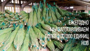 Елка России | Промо-видео компании