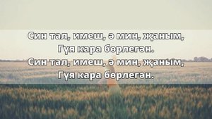 Бөрлегәнем — бер генәм
